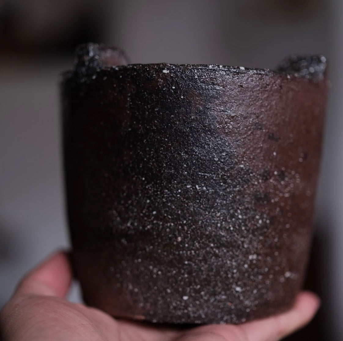 Wood-fired calabash carbon stove
