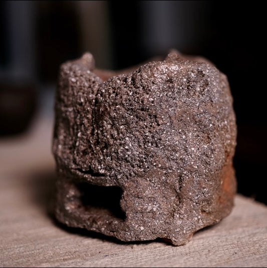 Wood-fired persimmon carbon stove